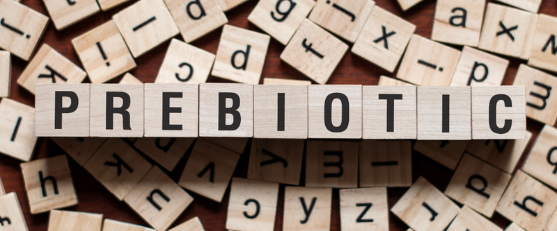 Prebiotics vs. Probiotics - What is The Difference?
