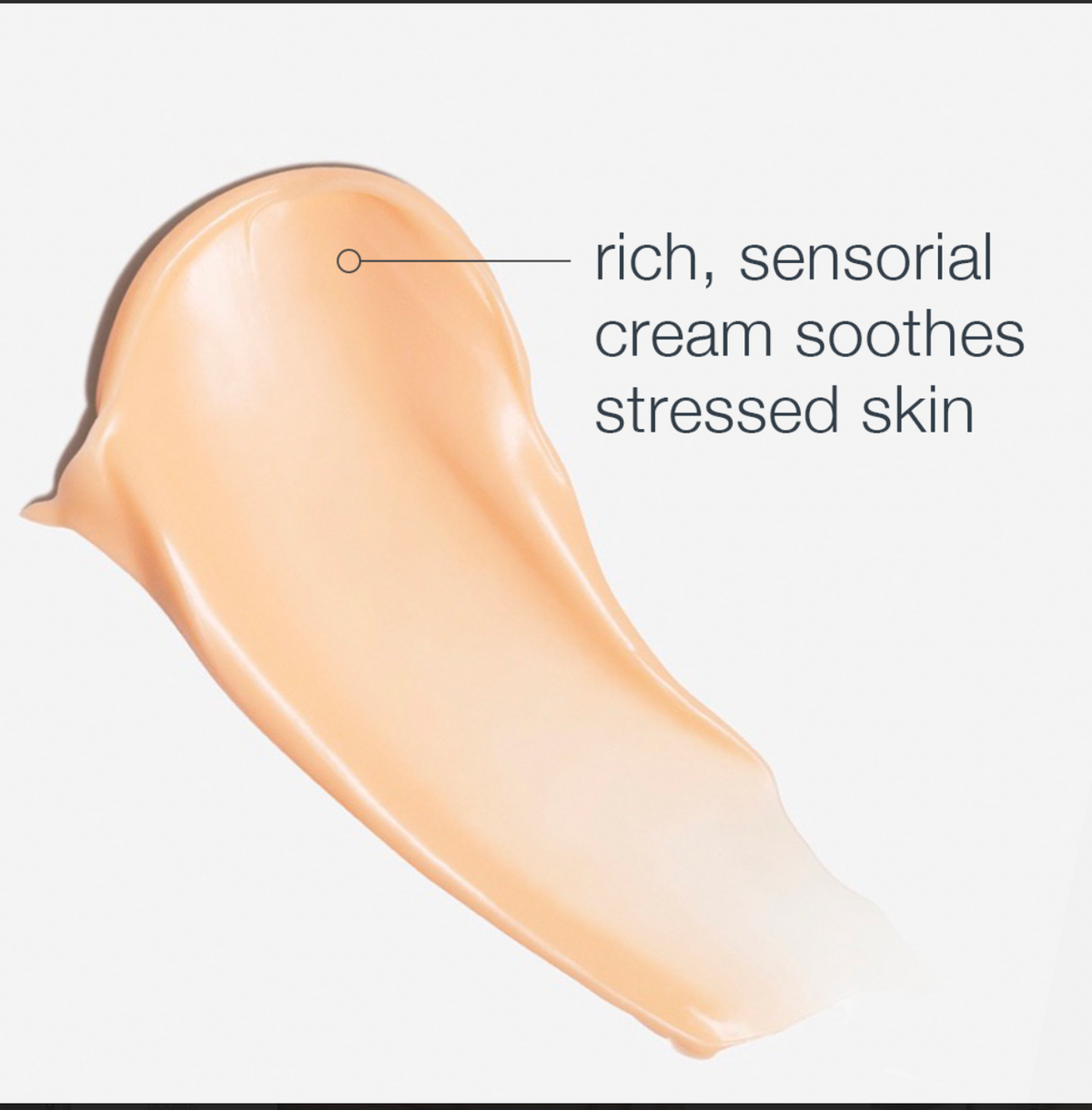 Restore Calm to Your Skin with Dermalogica's MultiVitamin Power Recovery Cream