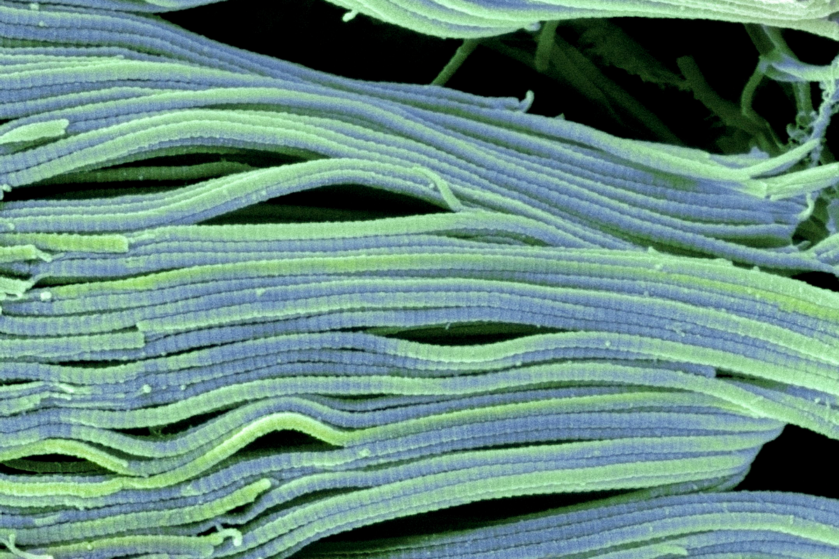 What is Collagen and What Is It Good For?