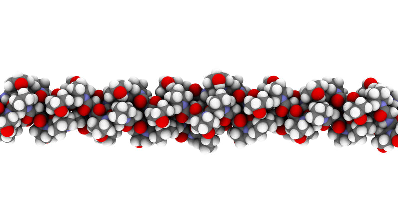 What are Peptides and how do they work?